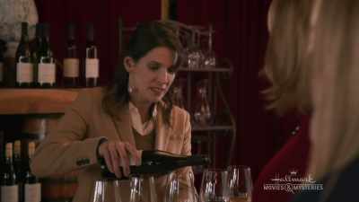 That's the Kelleher farm, - Chronicle Mysteries: Vines that Bind