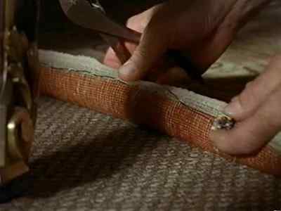 That's the last of the bugs, sir. - M  Butterfly