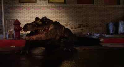 That's the one on the TV! - Alligator