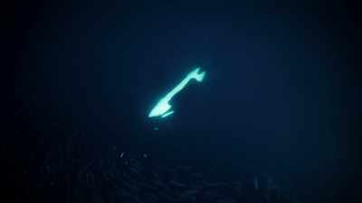 That's the sound of an orca - Welcome to Earth