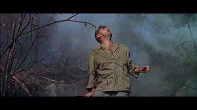 That's the stuff, navy! - Heaven Knows, Mr  Allison