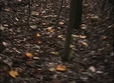No that's the tree we crossed That tree is down That's the same oneOh God No Oh noYou've got to be kidding me This is a jokeNo This is not funnyMike just please stopPlease Please stopPlease stopPlease stop Oh noNo No Mike it's not the same logIt's not the - The Blair Witch Project