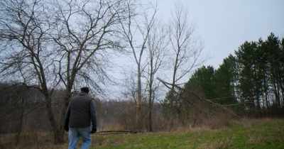 That's the tree that we came to see. - Stars in the Sky: A Hunting Story