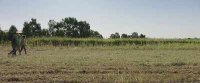 That's the way we can
buffer against droughts - 2040