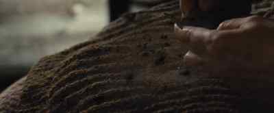 That's the way. Now, come on,
keep straight, boy. Good boy. - War Horse