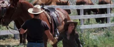 That's the wild horse - Flicka