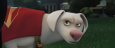 That's my toy - DC League of Super Pets
