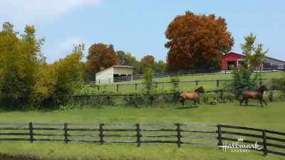 That's very exciting.
I can't wait. - Taking the Reins