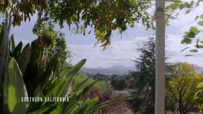 That's what you do in the
counterintelligence business, - Unidentified: Inside America's UFO Investigation