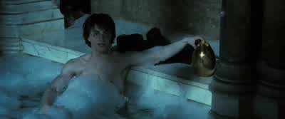 That's what he did. - Harry Potter and the Goblet of Fire