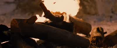 That's what I'm talkin' aboutA little pre battle bonfireTelling war storiesOr just standing there like frickin' statues - The Twilight Saga: Breaking Dawn   Part 2