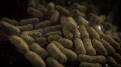 That's what makes
antibiotics work. - Fantastic Fungi
