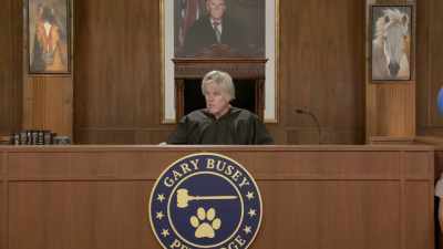 That's what...
That's a goat's
favorite game. - Gary Busey: Pet Judge