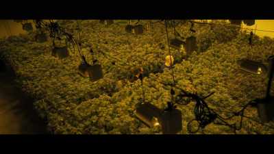 That's why we need safe
banking. Growers, dispensaries - The Last Deal