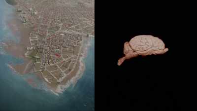 That's why our limbic
system is surrounded by - Cosmos: Possible Worlds