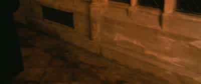 That's why Ron and Iwent looking for him, professor. - Harry Potter and the Chamber of Secrets