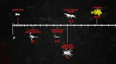 That's worse
than both scorpions, - Kings of Pain