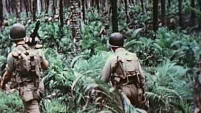 The 1st Marines
think it's a hellhole. - The Pacific War in Color