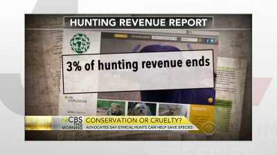 >> THE 2013 REPORT PREPARED FOR - The Jim Jefferies Show