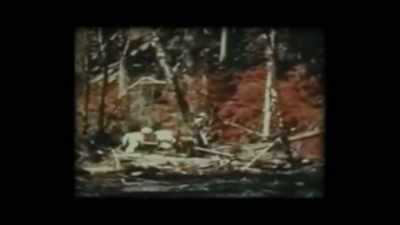 The 20th day, - Sasquatch