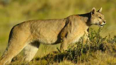 The ability to move freely - Our Great National Parks