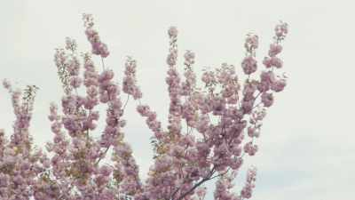 The accusatory things where... - Great Photo, Lovely Life