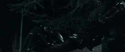 The Accusers completed
their operation, but the - The Predator