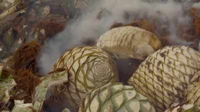 The agave hearts roast slowly, - Eva Longoria: Searching for Mexico