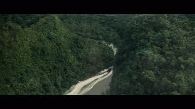The alleged victims were four vietnamese double agents. - Apocalypse Now