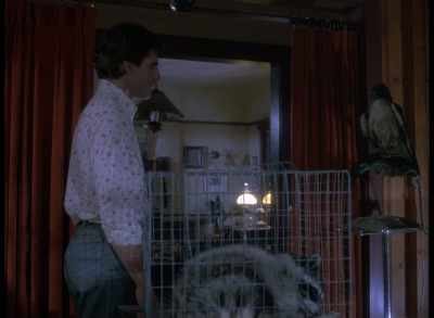 The amount of terawatts
they're pulling - Quantum Leap