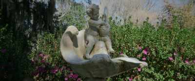 The angel wings
have recovered. - Master Gardener