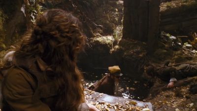 The animals don't drink from the spring - The Brothers Grimm