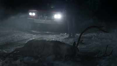 The animals know this. - Resident Alien