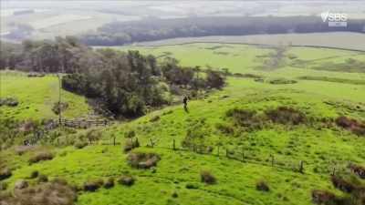 The area is completely covered, - Curse of the Ancients with Alice Roberts