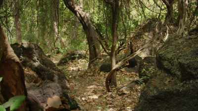 The arid land might seem
one giant sand pit - Dynasties