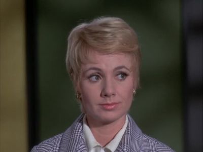 The army hasn't admitted making a mistake since 1952 - The Partridge Family