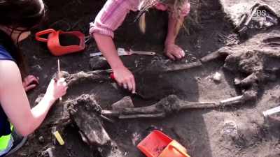 The attackers' final insult - Curse of the Ancients with Alice Roberts