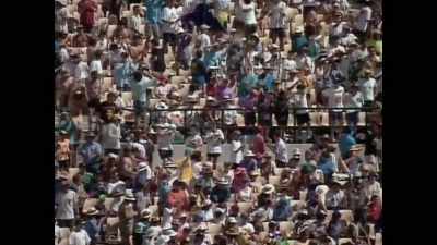 The Australians absolutely jubilant. - Bad Sport