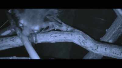 The aye-aye lives in isolation. - Waking Nightmare