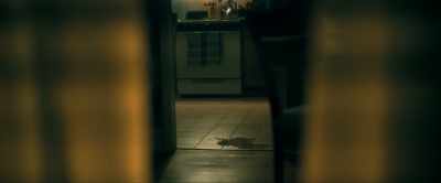 The baby is not waiting. - Madame Web