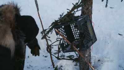 The bait's still in there, - Life Below Zero: First Alaskans