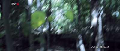 The balloons.
They weren't there a second ago. - The Gracefield Incident