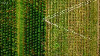 The beam that travels down
to the next layer - Secrets of Size: Atoms to Supergalaxies