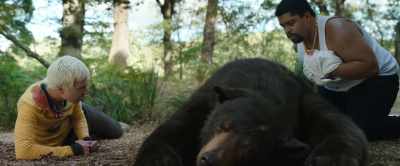 The bear is a girl - Cocaine Bear