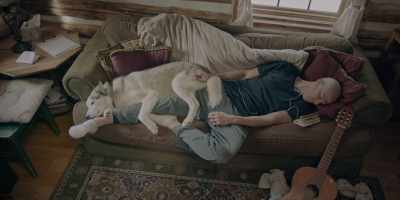 The beauty, - The Year of the Dog
