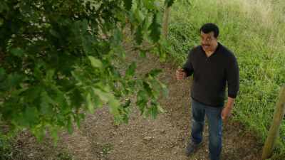 The bees somehow know that
they have to stick to the facts. - Cosmos: Possible Worlds
