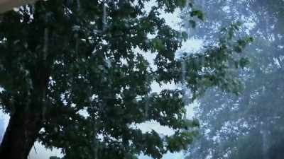 - The best climate would probably be somewhere where - Zombies! Prepping for the Apocalypse