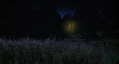 The best opportunities only happen once - A Midsummer Night's Sex Comedy