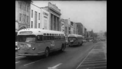 The best plaintiff
would be a woman - The Rebellious Life of Mrs. Rosa Parks