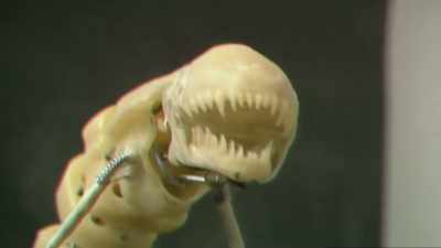 The big difference was - Aliens Expanded